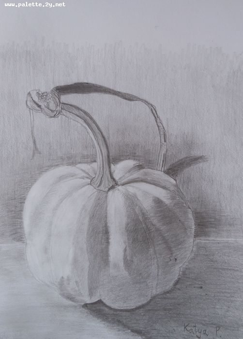 Art Studio PALETTE. Katya Pelekh Picture.  Pencil Still Life Fruits & Vegi 