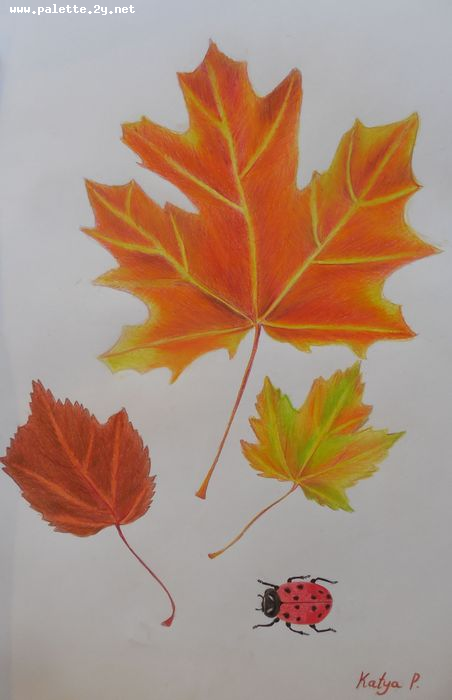 Art Studio PALETTE. Katya Pelekh Picture.  Coloured Pencil Plants Leaves 