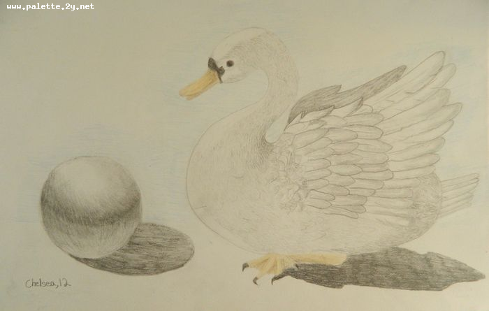 Art Studio PALETTE. Chelsea Hwang Picture.  Pencil Animals Birds 