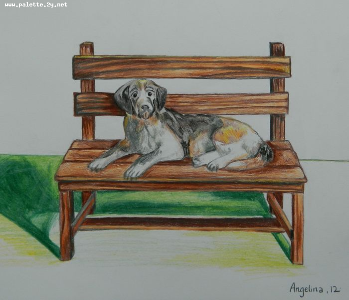 Art Studio PALETTE. Angelina Zhang Picture.  Coloured Pencil Animals Dogs 
