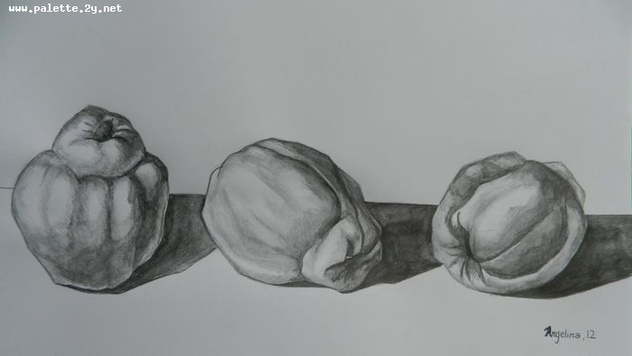 Art Studio PALETTE. Angelina Zhang Picture.  Pencil Still Life Fruits & Vegi 