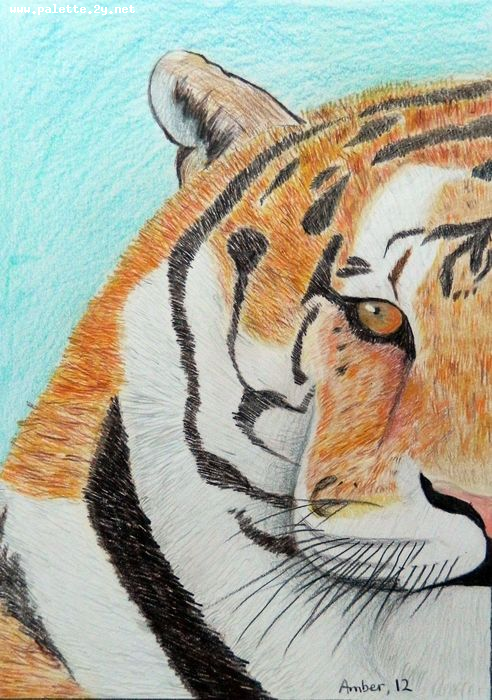 Art Studio PALETTE. Amber Wei Picture.  Coloured Pencil Animals Cats 