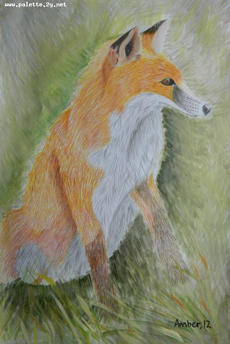 Art Studio PALETTE. Amber Wei Picture.  Mixed Media Animals Mix 