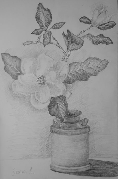 Art Studio PALETTE. Seona Aujla Picture.  Pencil Still Life Still Life 