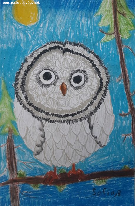 Art Studio PALETTE. Sofia Nikolaidi Picture.  Oil Pastel Animals Birds 