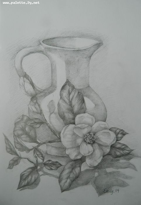 Art Studio PALETTE. Emily Hwang Picture.  Pencil Still Life Still Life 