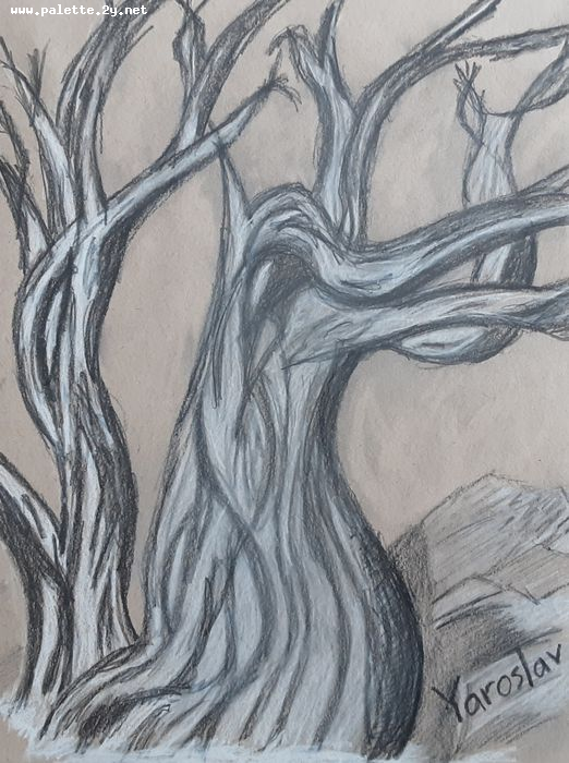 Art Studio PALETTE. Yaroslav Klishchuk Picture.  Pencil Landscape Trees 