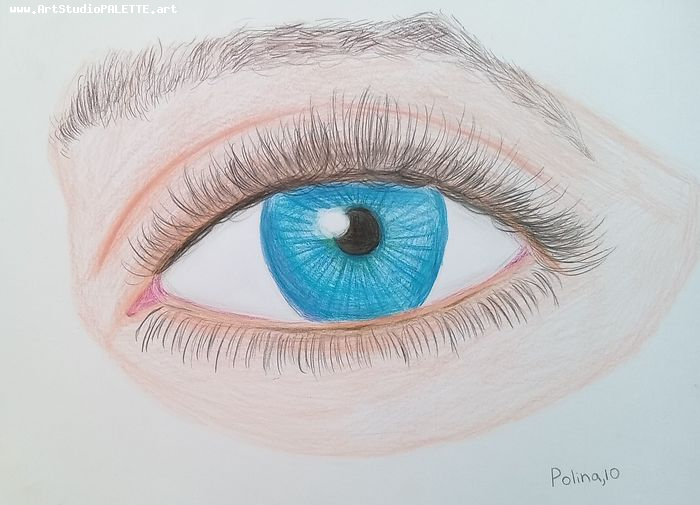 Art Studio PALETTE. Polina Karpushina Picture.  Coloured Pencil People Portrait 