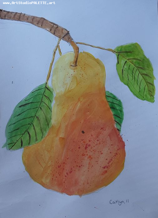 Art Studio PALETTE. Caitlyn Yu Picture.  Watercolour Still Life Fruits & Vegi 