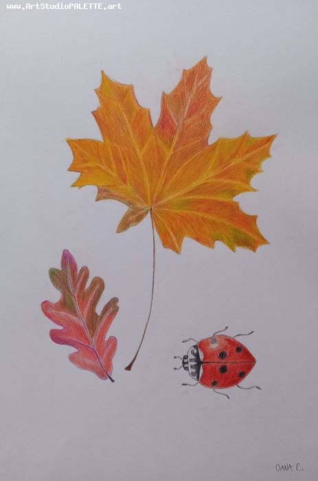 Art Studio PALETTE. Oana C. Picture.  Coloured Pencil Plants Leaves 