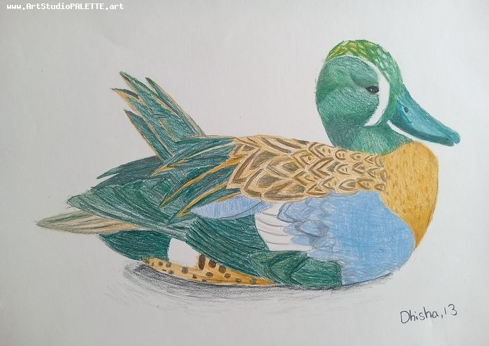 Art Studio PALETTE. Dhisha Senthil Picture.  Coloured Pencil Animals Birds 