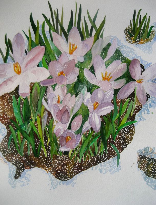 Art Studio PALETTE. Sandra Baraque Picture.  Watercolour Plants Flowers 