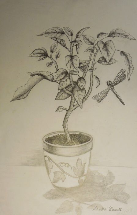 Art Studio PALETTE. Sandra Baraque Picture.  Pencil Landscape Trees 