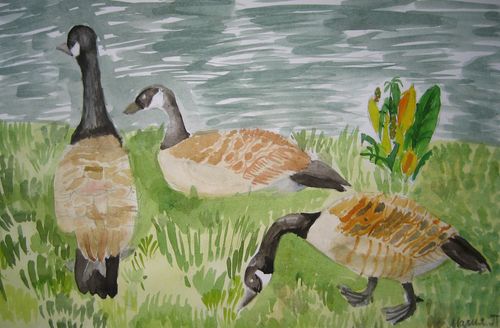 Art Studio PALETTE. Masha Pelekh Picture.  Watercolour Animals Birds 