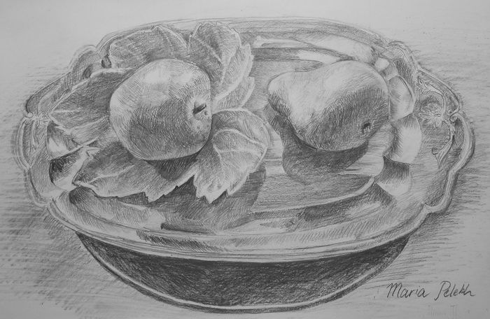 Art Studio PALETTE. Masha Pelekh Picture.  Pencil Still Life Still Life 
