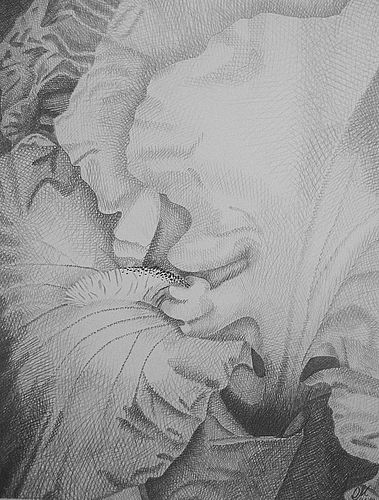 Art Studio PALETTE. Olga Maltseva Picture. Fine Art Paper Pencil   