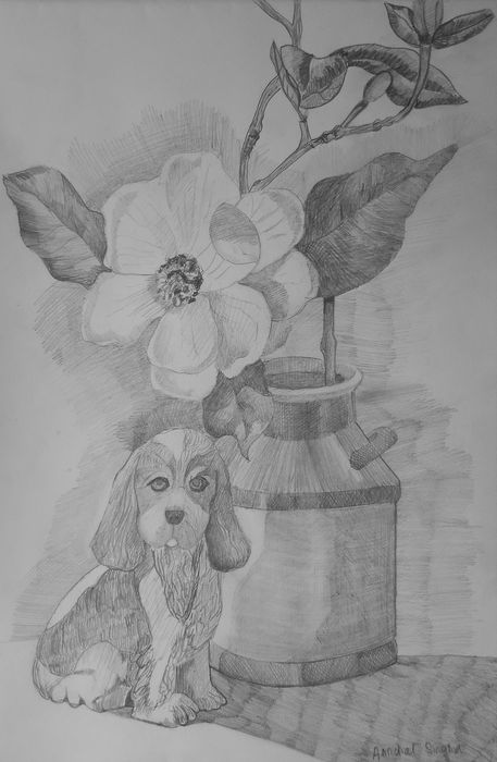 Art Studio PALETTE. Aanchal Singha Picture.  Pencil Still Life Still Life 