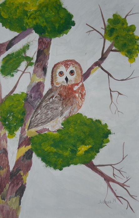 Art Studio PALETTE. Joshua Lukose Picture.  Tempera Animals Birds 