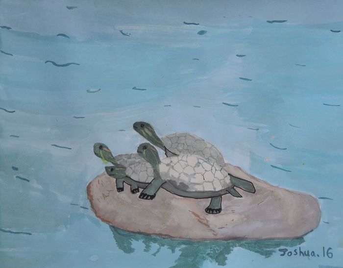 Art Studio PALETTE. Joshua Lukose Picture.  Watercolour Animals Fish 