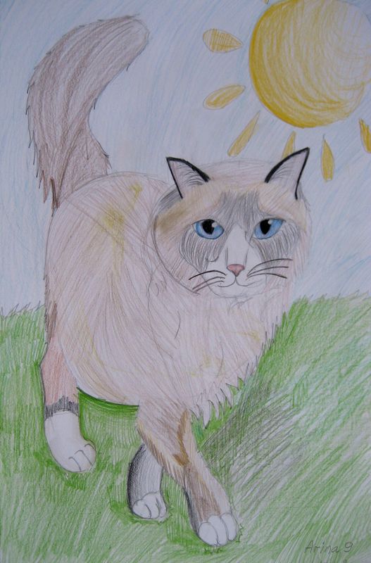 Art Studio PALETTE. Arina Guzhel Picture.  Coloured Pencil Animals Cats 