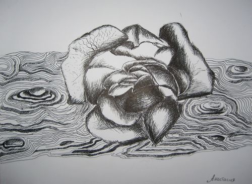 Art Studio PALETTE. Nastia Fendikevich Picture.  Ink Plants Flowers 