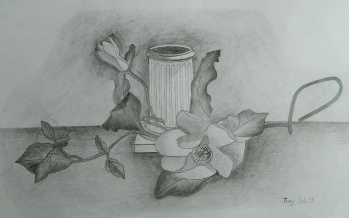 Art Studio PALETTE. Tony Cai Picture.  Pencil Still Life Still Life 