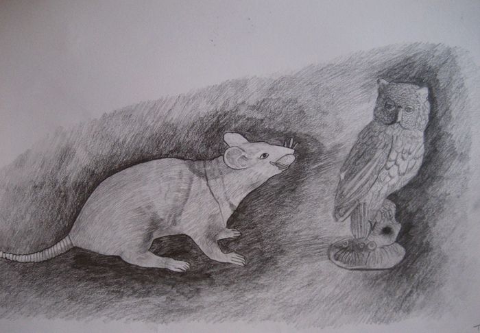 Art Studio PALETTE. Tony Cai Picture.  Pencil Animals Mix 