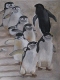 Art Studio PALETTE. Penguins