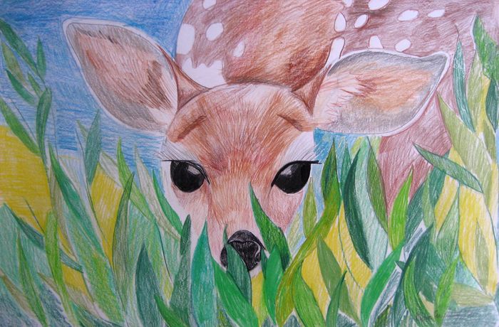 Art Studio PALETTE. Katya Silina Picture.  Coloured Pencil Animals Mix Оленёнок