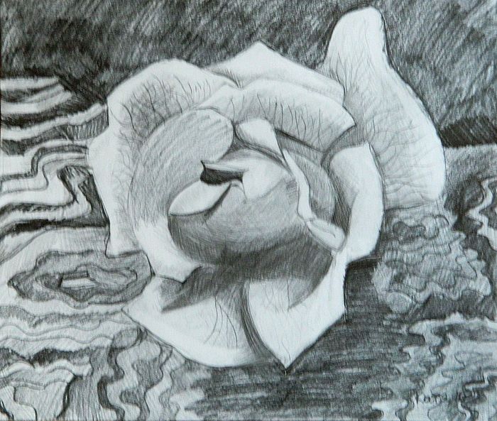 Art Studio PALETTE. Katya Silina Picture.  Pencil Plants Flowers 