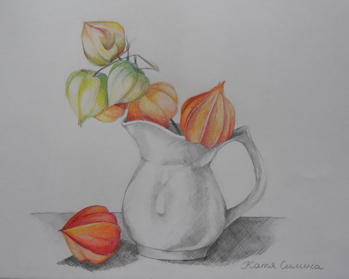 Art Studio PALETTE. Katya Silina Picture.  Coloured Pencil Still Life Still Life 
