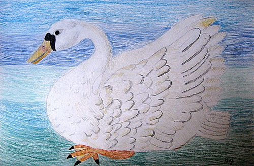 Art Studio PALETTE. Roy Kuo Picture.  Coloured Pencil   