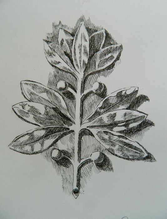 Art Studio PALETTE. Roy Kuo Picture.  Ink   