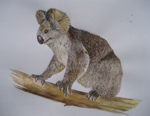 Art Studio PALETTE. Sarah Ziolkiewicz Picture. Fine Art Paper Watercolour Animals Mix 