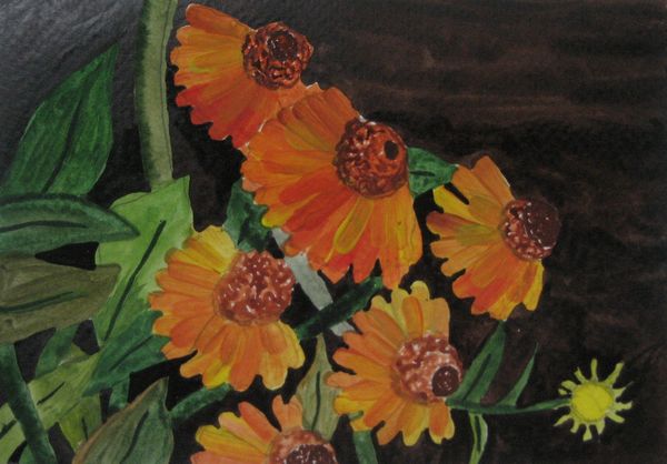 Art Studio PALETTE. Sarah Ziolkiewicz Picture.     