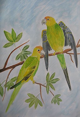 Art Studio PALETTE. Julia Handra Picture. Fine Art Paper Watercolour   