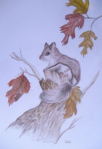 Art Studio PALETTE. Julia Handra Picture. Fine Art Paper Coloured Pencil Animals Mix 