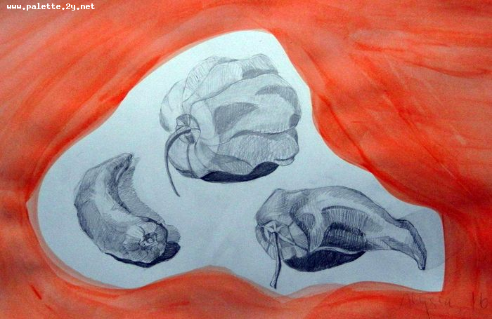 Art Studio PALETTE. Alyssa Lukose Picture.  Pencil Still Life Fruits & Vegi 