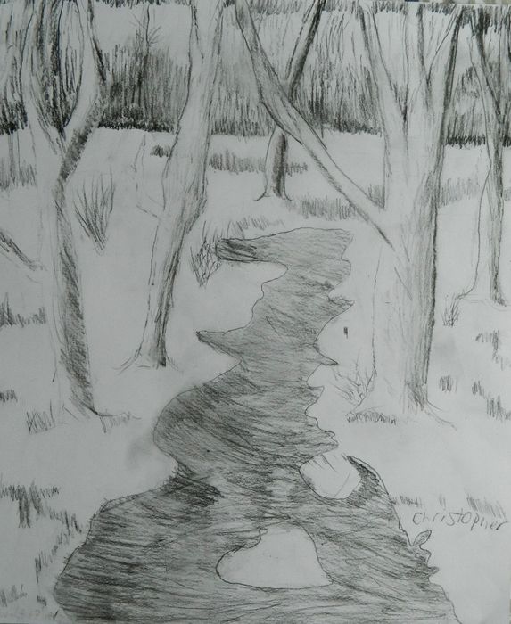 Art Studio PALETTE. Christopher Ballard Picture.  Pencil Landscape Nature 