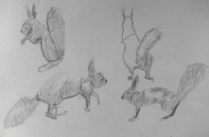 Art Studio PALETTE. Christopher Ballard Picture.  Pencil Animals Mix 