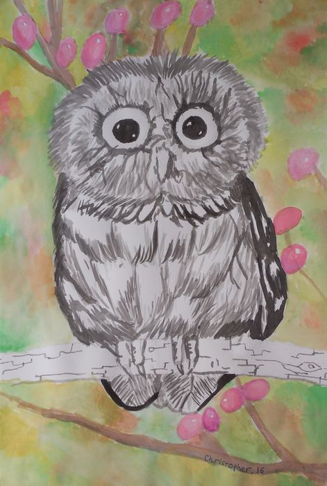 Art Studio PALETTE. Christopher Ballard Picture.  Watercolour Animals Birds 