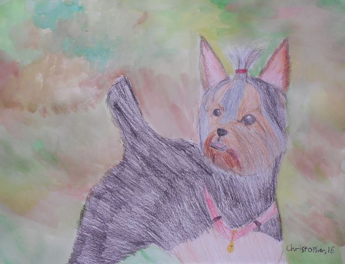 Art Studio PALETTE. Christopher Ballard Picture.  Mixed Media Animals Dogs 