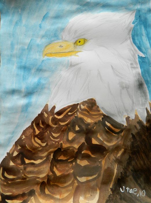 Art Studio PALETTE. Utae Kanauchi Picture.   Animals Birds 