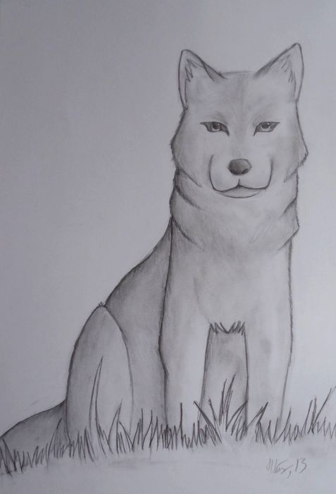 Art Studio PALETTE. Utae Kanauchi Picture.  Pencil Animals Dogs 