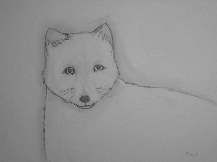 Art Studio PALETTE. Utae Kanauchi Picture.  Pencil Animals Mix 