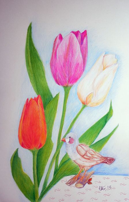 Art Studio PALETTE. Utae Kanauchi Picture.  Coloured Pencil Plants Flowers 