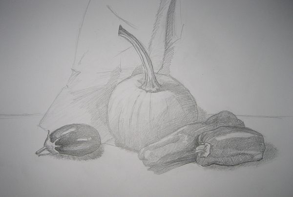 Art Studio PALETTE. Aaron Sham Picture.  Pencil Still Life Fruits & Vegi 