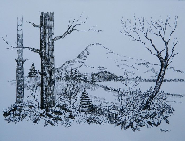 Art Studio PALETTE. Aaron Sham Picture.  Ink Landscape Nature 