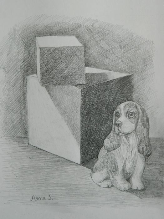 Art Studio PALETTE. Aaron Sham Picture.  Pencil Still Life Still Life 