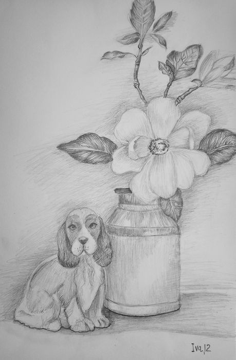 Art Studio PALETTE. Iva Staykova Picture.  Pencil Still Life Still Life 